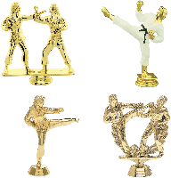Martial Arts Karate Trophy Figures