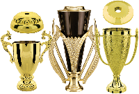 Trophy Cup