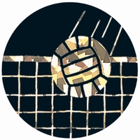 2" Black Holographic Volleyball Mylar Trophy Insert