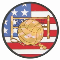 2" US Flag Volleyball Holographic Mylar Trophy Insert