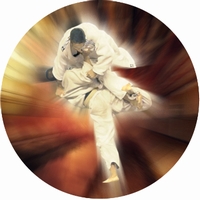 2" Karate Photo Trophy Insert