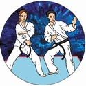 2" 3D Motion Trophy Insert - Karate