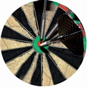 2" Darts Photo Trophy Insert