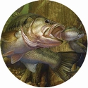 2" Fishing Photo Trophy Insert