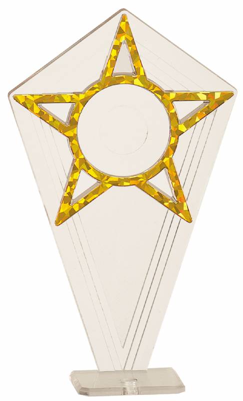 trophy with picture frame