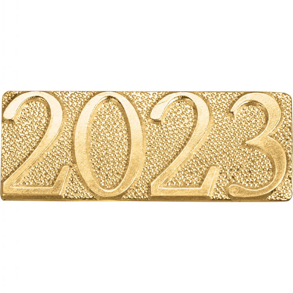 2025 Year Lapel Pin