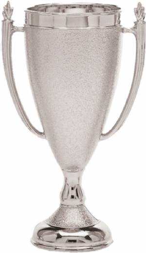 Silver 6 3/4" Plastic Trophy Cup