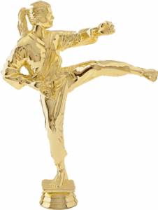 8 1/2" Karate Female Trophy Gold Figure