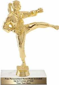 9 1/4" Karate Female Trophy Kit