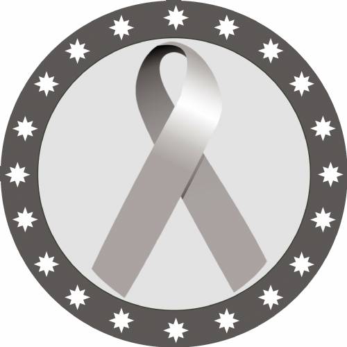 2" Grey Awareness Ribbon Trophy Insert