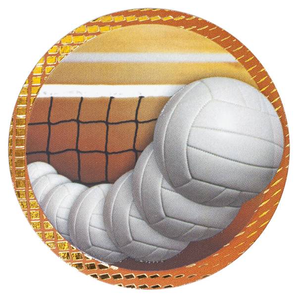 2" Dazzle Volleyball Trophy Insert