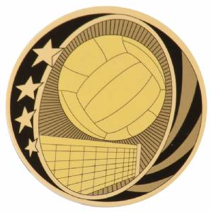 2" Volleyball MidNite Star Series Trophy Insert