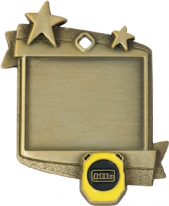 Frame Award Medal - Swimming