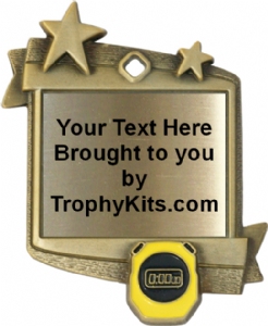 Frame Award Medal - Swimming #2