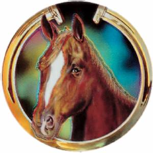 Horsehead 2" Holographic Insert