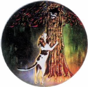 Coon Dog with Tree 2" Holographic Insert