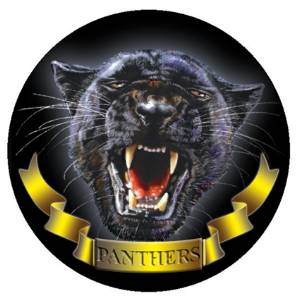 Panthers Mascot 2" Insert