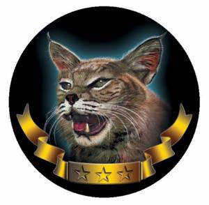 Bobcats Mascot 2" Insert