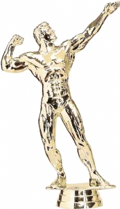 6 1/4" Male Bodybuilding Gold Trophy Figure