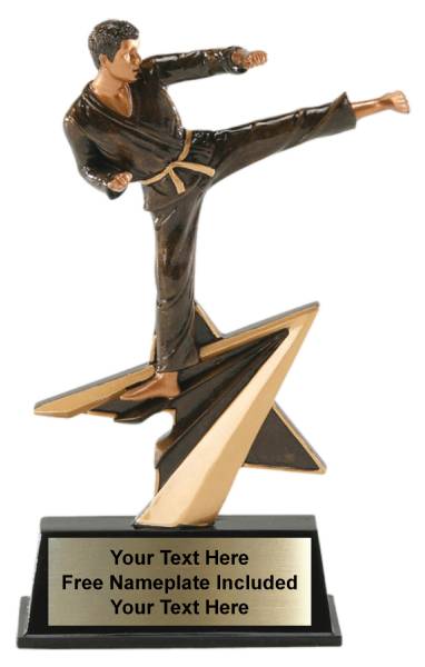 7" Karate Star Power Sport Resin Trophy