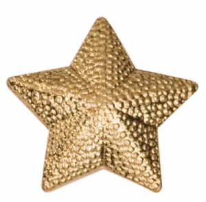 Gold Star Lapel Chenille Insignia Pin - Metal