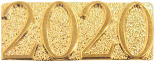 Gold 2020 Lapel Chenille Insignia Pin - Metal