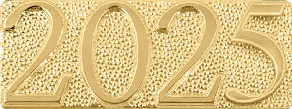 Gold 2025 Lapel Chenille Insignia Pin - Metal #1