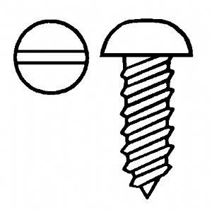 1/4" Gold Slotted Screw