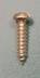 3/8" Gold Slotted Screw #2