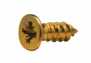 Gold 1/2" Phillips Screws