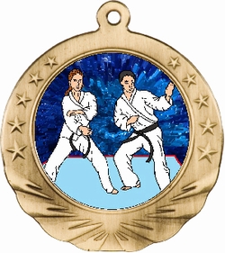 3D Karate Motion Award Medal 2 3/4"