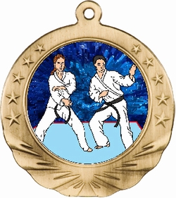 3D Karate Motion Award Medal 2 3/4"