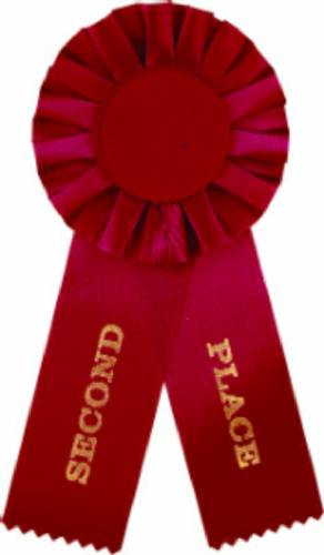 Red 2nd Place Rosette Ribbon with 2" Insert Holder