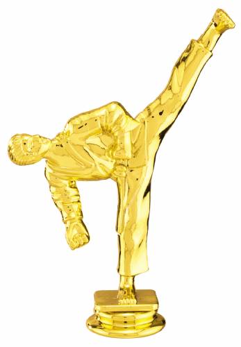 6" Male Taekwondo Figure