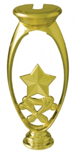 Gold 6" Star Trophy Riser