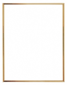 Gold 8 1/2" x 11" Self-Adhesive Slide In Photo Holder Frame