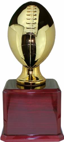 17 1/2" Gold Metalized Lifesize Football Resin Trophy Kit