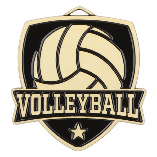 2 1/2" Volleyball Shield Series Award Medal #2