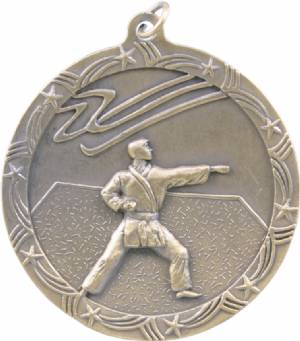 Shooting Star 2 1/2" Karate Award Medal #2