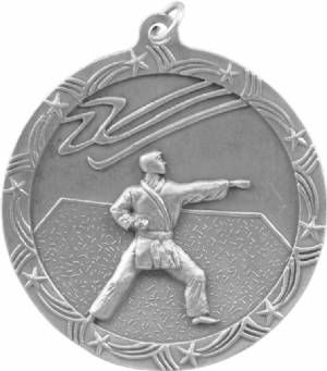 Shooting Star 2 1/2" Karate Award Medal #3
