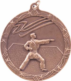 Shooting Star 2 1/2" Karate Award Medal #4