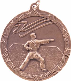 Shooting Star 2 1/2" Karate Award Medal #4