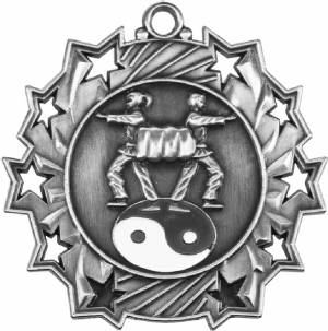 Ten Star Series Martial Arts Award Medal #3