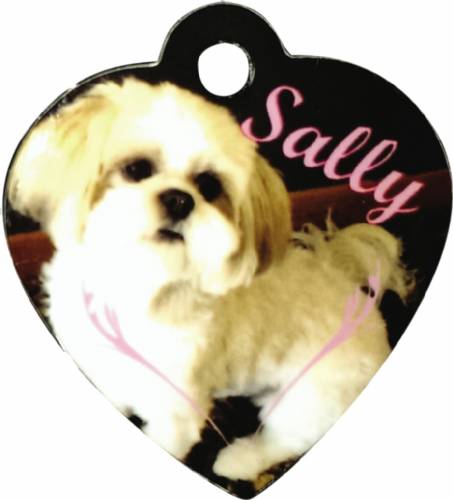 Custom Heart Shaped Pet Tag