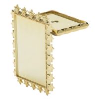 2" x 3" Rectangle Column Check Lid with Plate Holder