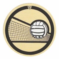 2" Volleyball Gold Mylar Trophy Insert