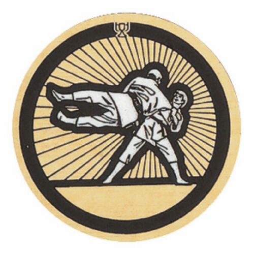 2" Judo Male Gold Mylar Trophy Insert