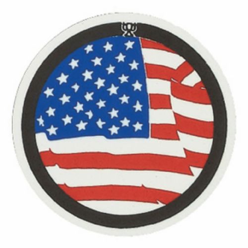 2" American Flag Mylar Trophy Insert