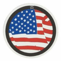 2" American Flag Mylar Trophy Insert