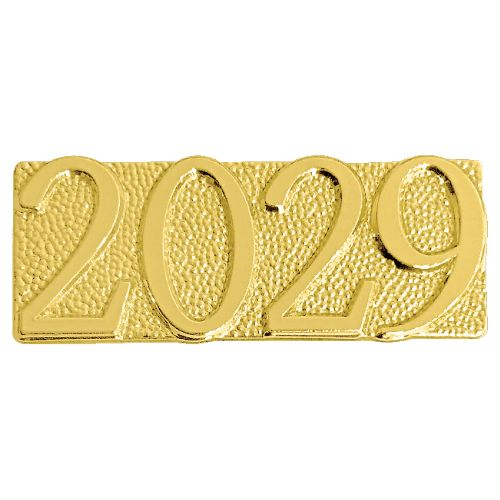 Gold 2029 Lapel Chenille Insignia Pin - Metal